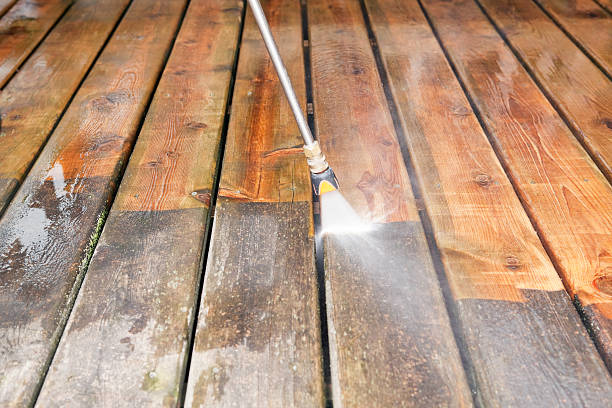 Best Animal Enclosure Cleaning  in Mcarthur, OH